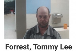 Forrest, Tommy Lee