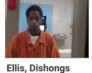 Ellis, Dishongs