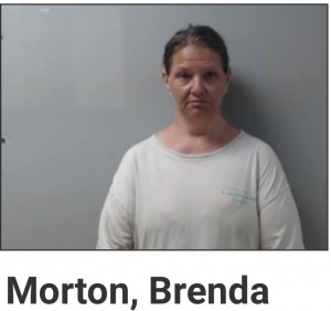 Morton, Brenda