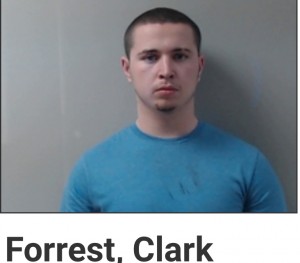 Forrest. Clark