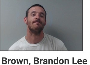 Brown, Brandon Lee