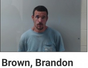 Brown, Brandon
