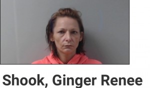 Shook, Ginger Renee